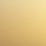 【着物の整理｜着物断捨離】箪笥の整理と必要な着物の活かし方